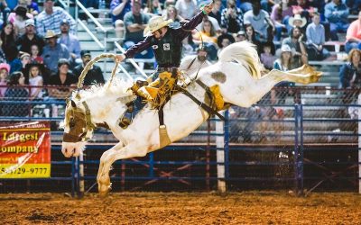 Save, Build, and Change Lives at the Lone Star Rodeo!