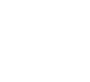 The Nehemiah Project logo white